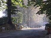 Scacciapensieri Driveway.jpg